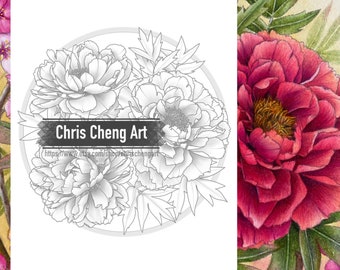 Set of 2 Coloring Pages "PEONIES" | Instant Download Printable Files (PDF)
