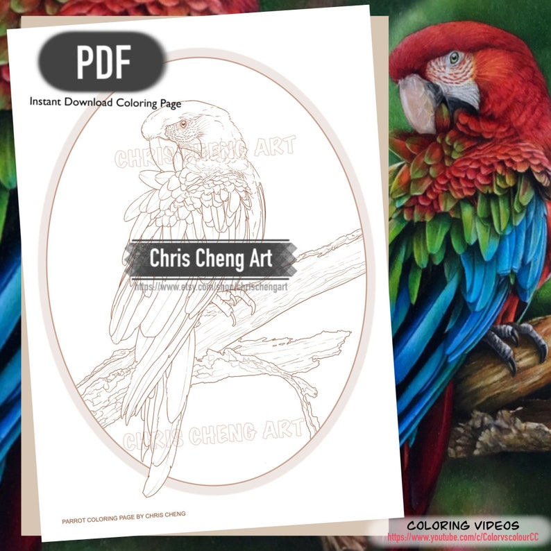 Coloring Page PARROT Instant Download Printable File PDF zdjęcie 1