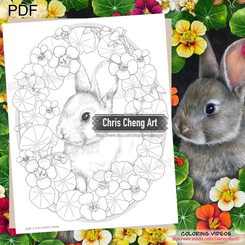 以下が含まれることがあります： 花と葉に囲まれたウサギを描いた白黒の塗り絵ページ。ページの下部には「Chris Cheng Art」というタイトルとウェブサイトのアドレスが記載されています。