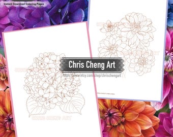 May include: Two printable coloring pages featuring detailed line drawings of flowers. The first page shows a hydrangea, and the second page shows a bouquet of dahlias. The text "Chris Cheng Art" and a website address are included on both pages.