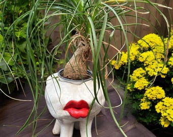 Maceta de cerámica con forma de diente para interior y exterior