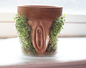 personalized chia pet