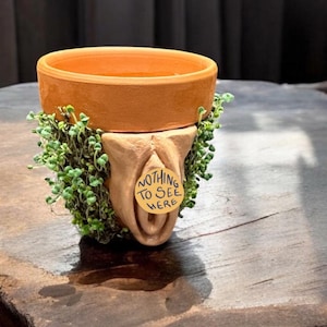 Funny terracotta lady parts  pot chia companion planter.