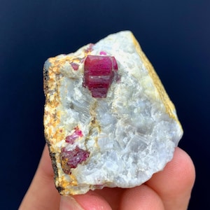May include: A raw ruby crystal specimen. The ruby is a deep red color and is embedded in a matrix of white and tan rock. The rock has a rough, natural texture. The background is a dark blue.