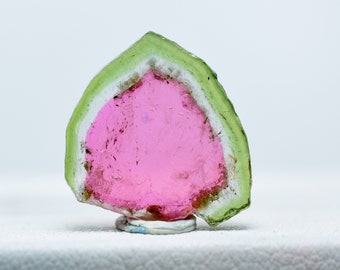 23.75 Carats 8 pieces Watermelon Tourmaline Slices Lot From Paproke Afghanistan
