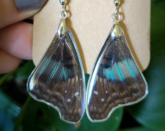 Real Shoemaker Butterfly Wing Earrings