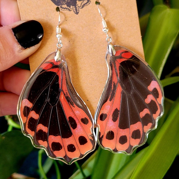 Real Scarlet Mormon Butterfly Wing Earrings/ Valentine's Day Gift/ Cottagecore/ Gothic/ Red Butterfly/ Butterfly Earrings