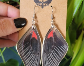 Real Butterfly Wing Earrings/ Butterfly Earrings /Cottagecore Jewelry/ Gifts for her/ Nature Gift