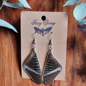 Real Green-Banded Urania Moth Wing Earrings