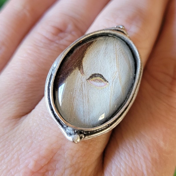 Real Luna Moon Moth Wing Adjustable Ring Handcrafted Epoxy Resin Antique Silver Cottagecore Insect Jewelry