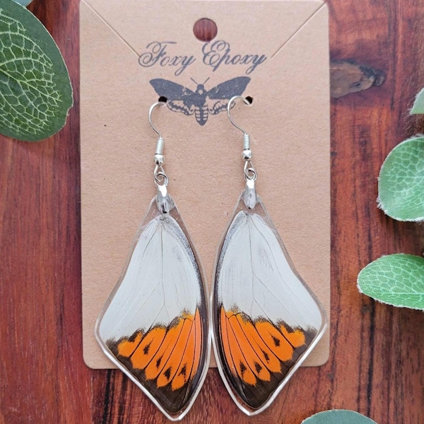 Real Orange Tip Butterfly Wing Earrings