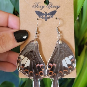Véritables boucles d'oreilles papillon machaon en résine époxy