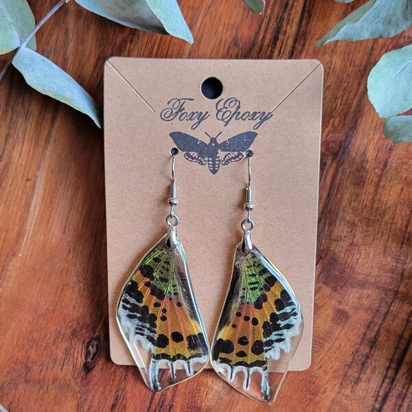 Real Madagascan Sunset Moth Wing Earrings, Jewelry, Taxidermy, Nature Gifts