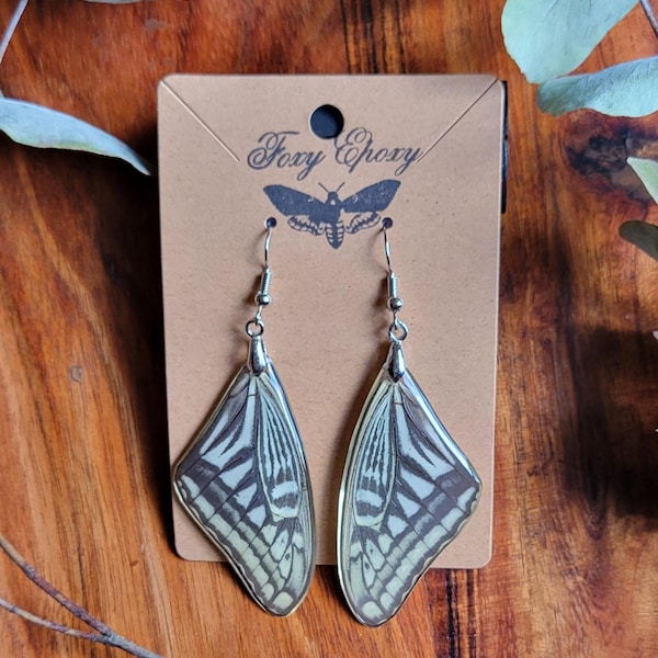 Real Asian Swallowtail Butterfly Wing Earrings