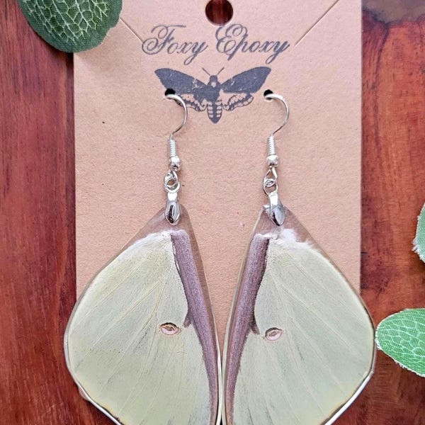 Real Luna Moth Wing Earrings/ Cottagecore/ Fairy Wings/ Resin Jewelry