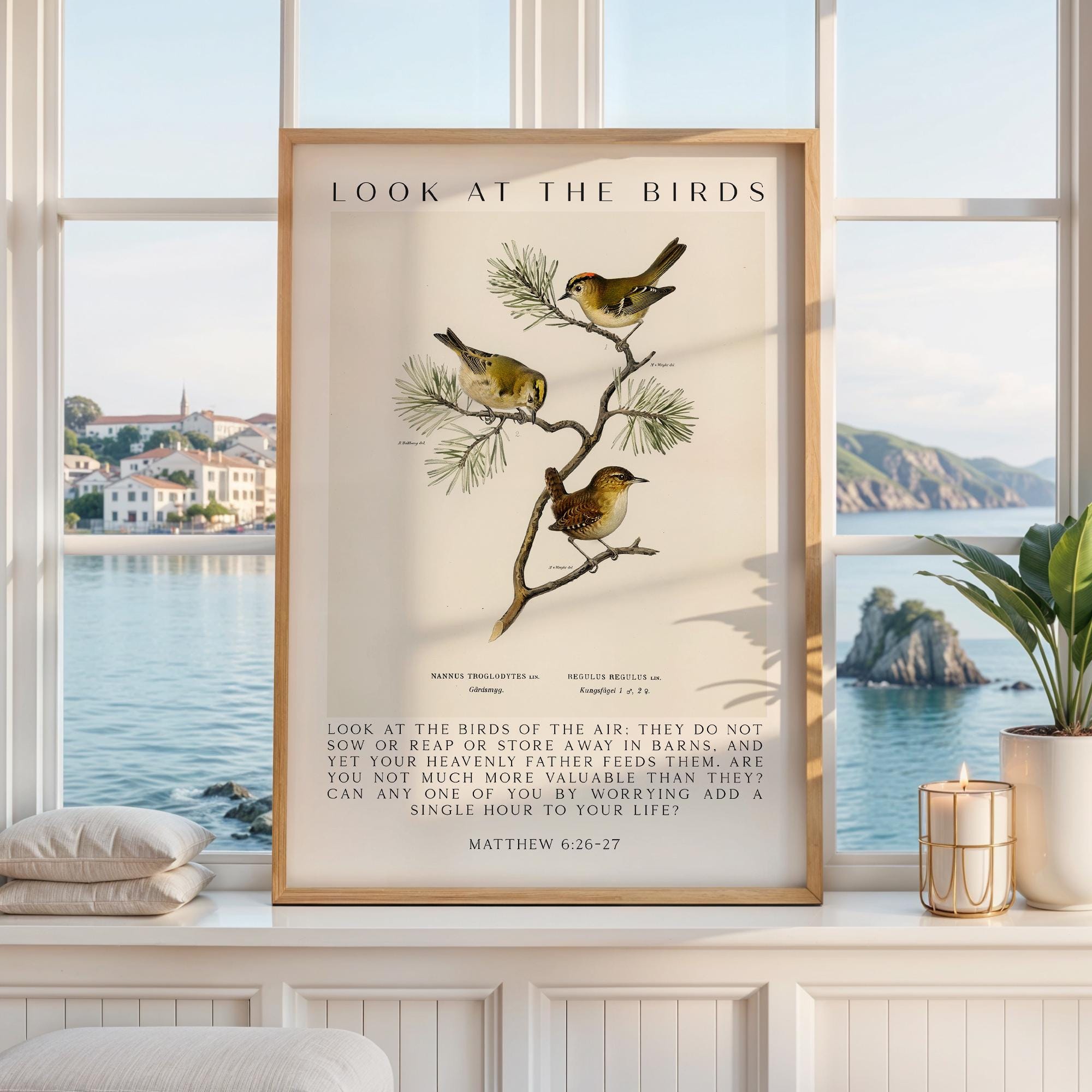 Matthew 6:26-27 Bible Verse Print, Look at the Birds Scripture Wall Art ...