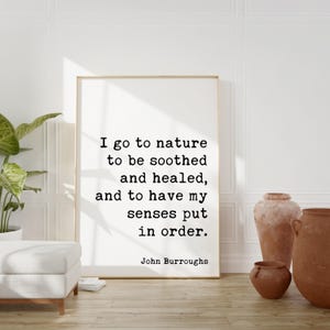 I go to nature to be soothed and healed, and to have my senses put in order. • John Burroughs Quote • Art Print • Nature Lover (1917)