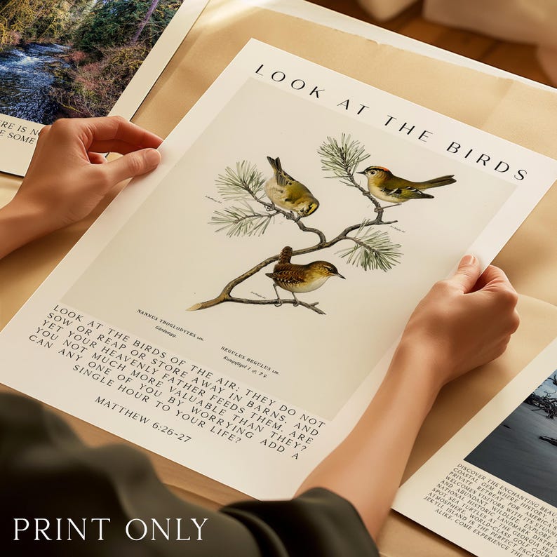 Matthew 6:26-27 Bible Verse Print, Look at the Birds Scripture Wall Art ...