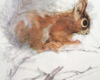 ecureuil etsy