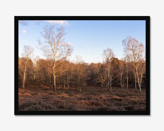Fotoprint zonsondergang bos: natuurmuurkunst