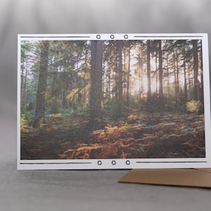 Sérénité dans la forêt - Carte de voeux photo naturelle, parfaite pour les célébrations