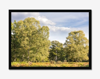 Avondbosfotografieprint: natuurmuurkunst