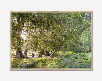 Lush Forest Photo Print: Green Nature Wall Art