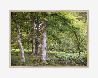 Bosfotografieprint: natuurmuurkunst, landschapsdecor