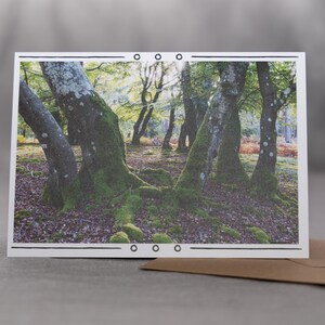 Woodland Wonders - Authentique carte de voeux de photographie de forêt, vierge à l'intérieur