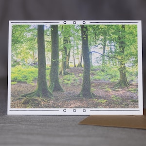 Serenity in the Forest: natuurfotowenskaart, perfect voor feesten