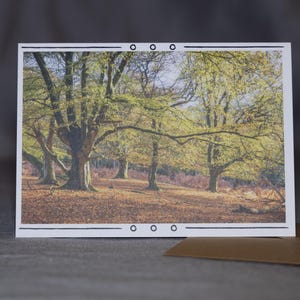 Carte de voeux Forêt d'automne - Scène naturelle de feuillage d'automne, confortable et chaleureux
