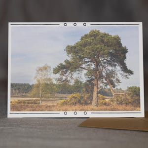 Woodland Wonders - Authentique carte de voeux de photographie de forêt, vierge à l'intérieur
