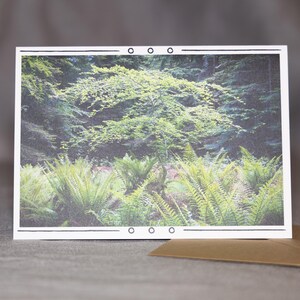 Woodland Wonders - Authentique carte de voeux de photographie de forêt, vierge à l'intérieur