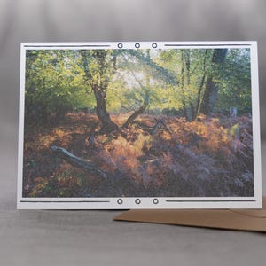 Carte de voeux photo Mystic Woods – Scène de forêt vibrante pour toutes les occasions