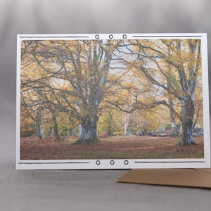 Carte de voeux Forêt d'automne - Scène naturelle de feuillage d'automne, confortable et chaleureux