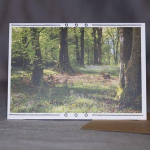 Enchanted Forest Captured – Premium fotowenskaart met blanco binnenkant.