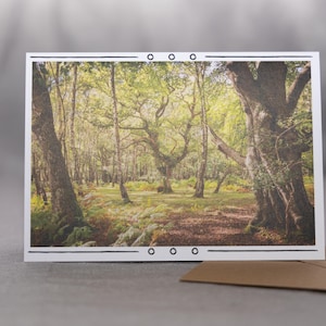 Rustieke bosbedel – natuurlijke fotowenskaart met rustig uitzicht op het bos