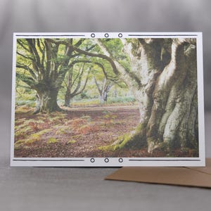 Arbres intemporels - Carte de voeux captivante de photographie de forêt pour toutes les occasions