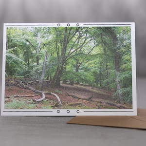Maravillas del Bosque – Tarjeta de felicitación con fotografía forestal auténtica, interior en blanco