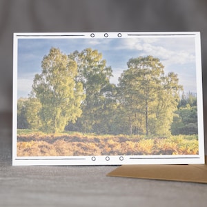 Serenidade na Floresta – Cartão de Saudações com Foto Natural, Perfeito para Celebrações