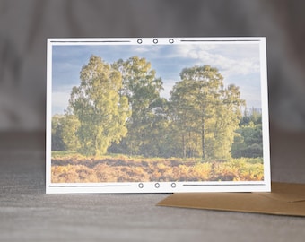 Forest Photography Greeting Card: Nature Celebration Card