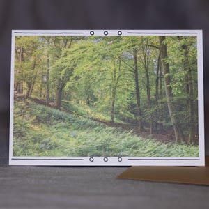 Woodland Wonders - Authentique carte de voeux de photographie de forêt, vierge à l'intérieur