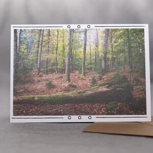 Carte de voeux pour amoureux de la nature - Carte artistique représentant une scène de forêt, respectueuse de l'environnement
