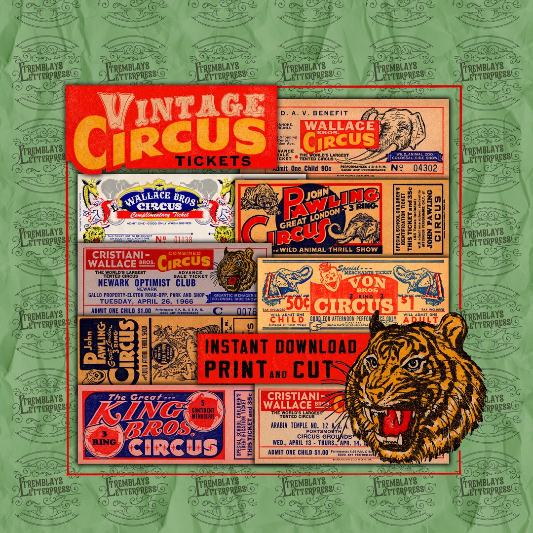 CIRCUS DAYS　イギリス　サイケポップ　紙ジャケCD６枚セット　ボックス CIRCUS DAYS イギリス サイケポップ 紙ジャケCD6枚セット ボックス