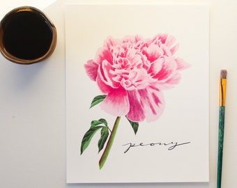Pink Peony painting - Botanical Peony art print 8x10 in. - November birth month flower