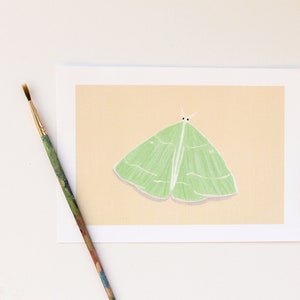 Little green moth art print - Botanical illustration moth art