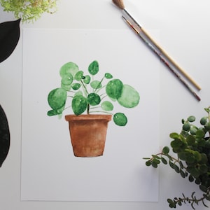 Watercolor pilea or Chinese money plant - Botanical watercolor potted plant art print