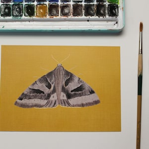 Little moth painting -  animal botanical art print - Woodland animal art