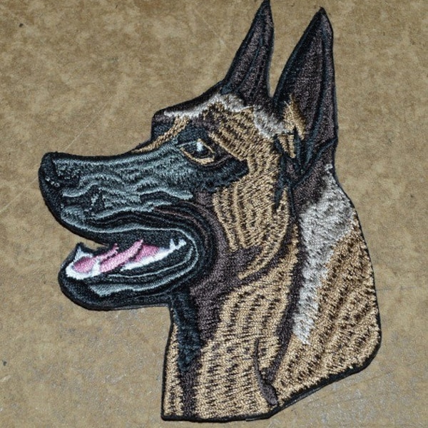 patch,écusson, chien , malinois, 10/7cm, broder, thermocollant