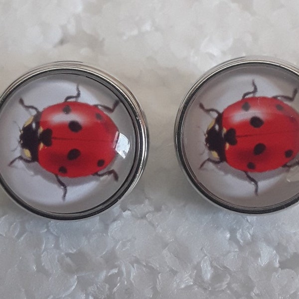 boucles d oreilles , boutons pressions , coccinelles , rouges  , oreilles , non percées ,